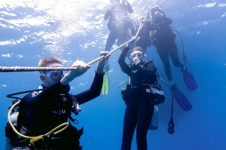 Scuba divers learning to emerge into the ocean