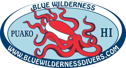 Blue Wilderness Dive Adventures Corp